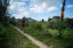 BIB: 
                            <button type="button" onclick="openModal(21792595)" class="btn btn-primary btn-sm float-right btn-popup" data-toggle="modal" data-target=".modal-high-quality">
                        <i class="fas fa-shopping-cart"></i> Add to Cart
                    </button>
                                            <button type="button" onclick="isThisMe(21792595, true)" class="btn btn-success btn-sm float-right btn-popup btn-isme hidden" data-toggle="tooltip" data-placement="bottom" title="นี่คือรูปของคุณใช่ไหม คลิกที่นี่เพื่อเอาเข้าอัลบั้ม">
                        <i class="fas fa-plus"></i> Add to album
                    </button>
                    <button type="button" onclick="isThisMe(21792595, false)" class="btn btn-warning btn-sm float-right btn-popup btn-isnotme hidden">
                        <i class="fas fa-ban"></i> Remove from album
                    </button>